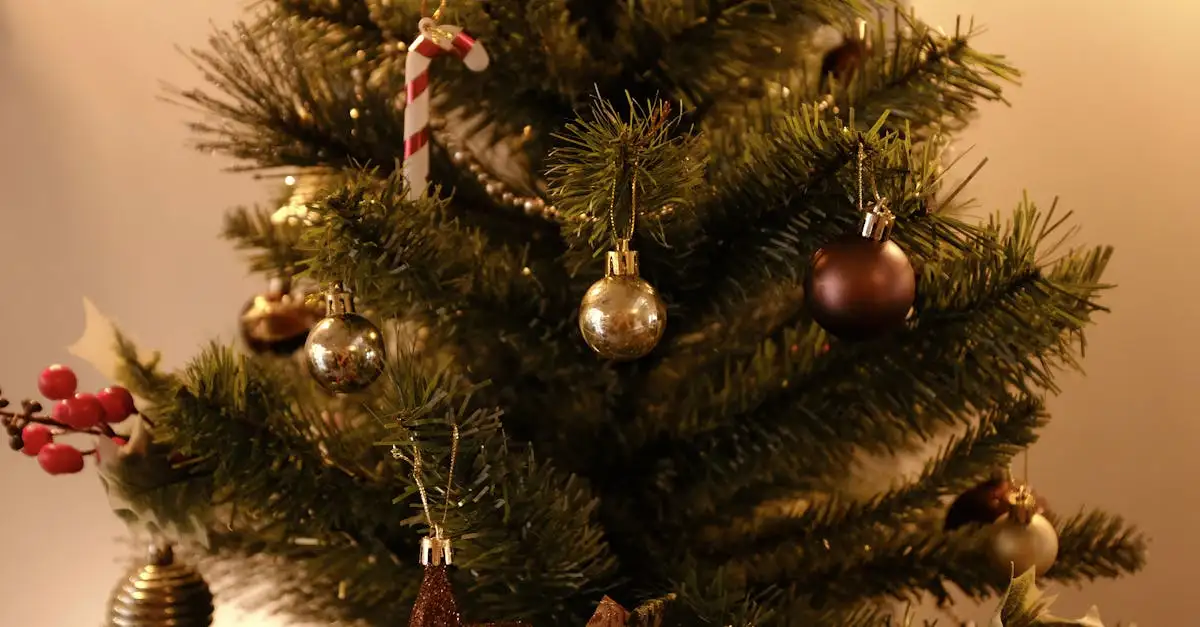 Découvrez nos magnifiques boules de Noël pour un sapin