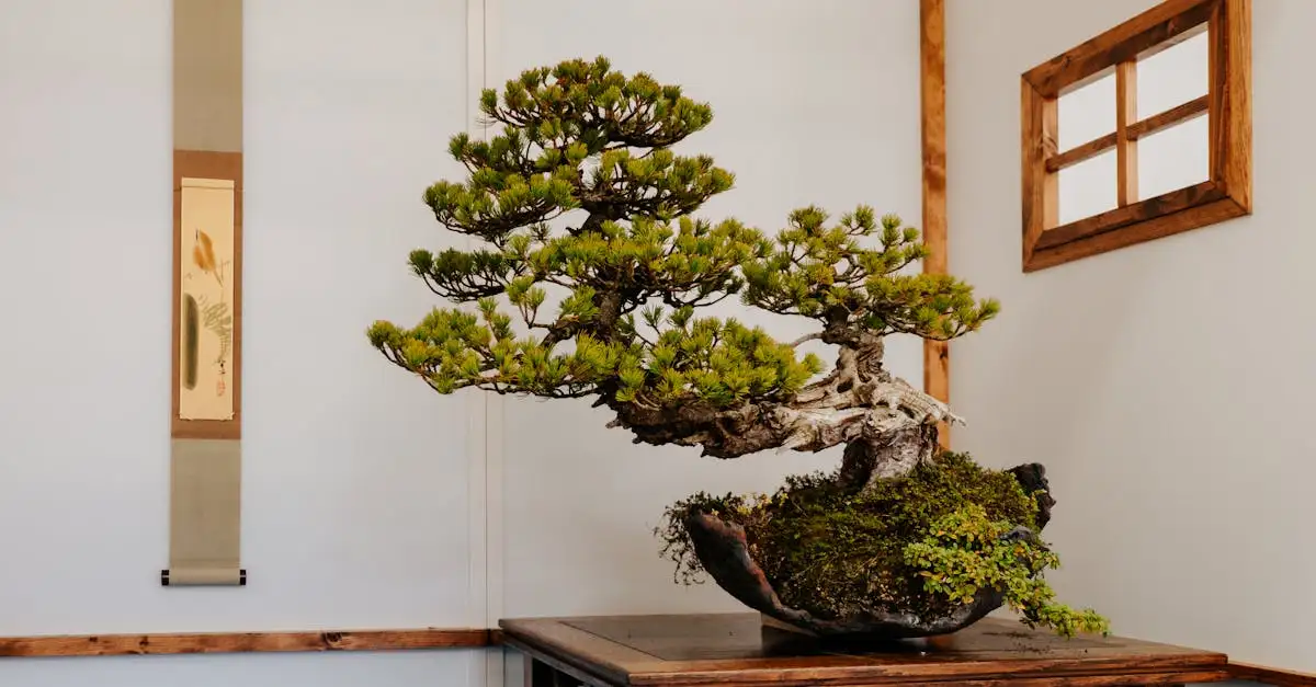 Décoration Japonaise : Zen et Harmonie pour Votre Intérieur